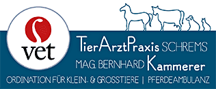 Dipl.-TA Mag. Bernhard Kammerer Logo